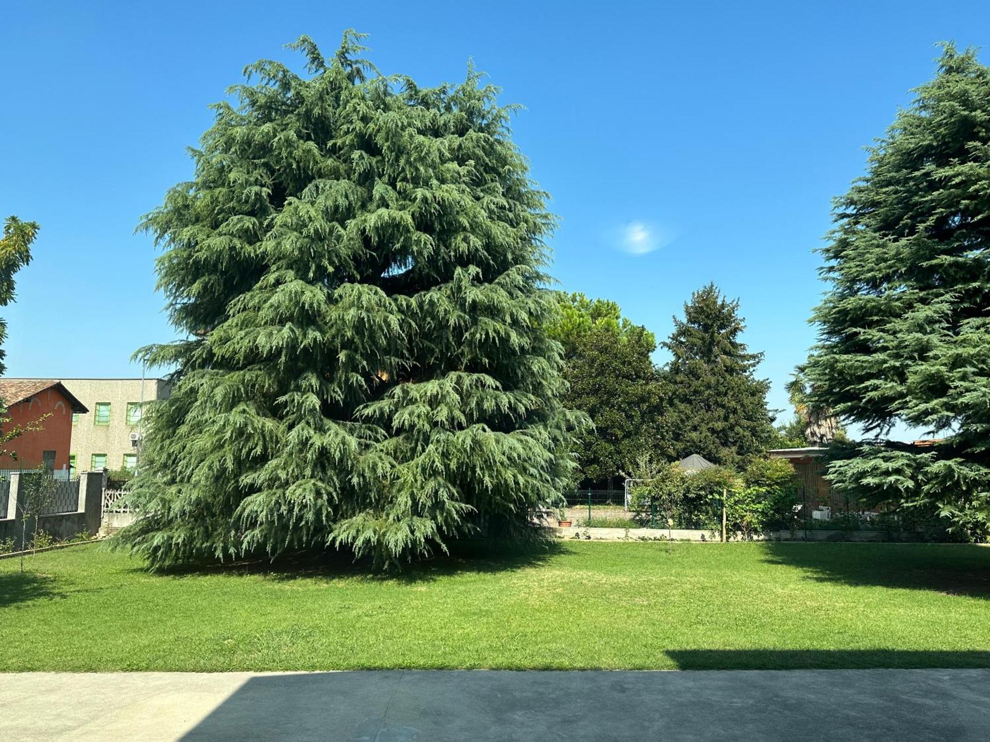 Villa 2 Cassano dʼAdda Esterno foto